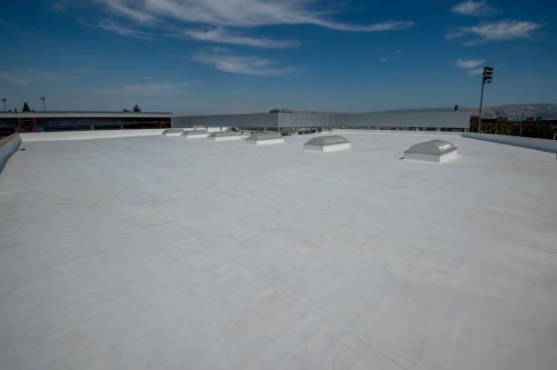 Best Roof Maintenance and Cleaning  in Northgate, OH